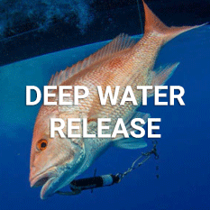Deep water release