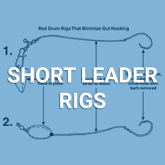 Short Leader Rigs